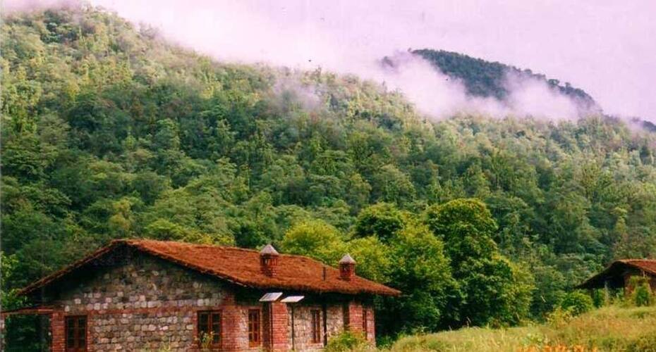 Wild Brook Retreat, Rishikesh 2